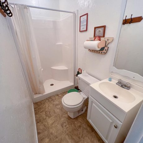 bathroom interior with shower, toilet, sink, cabinets, mirror
